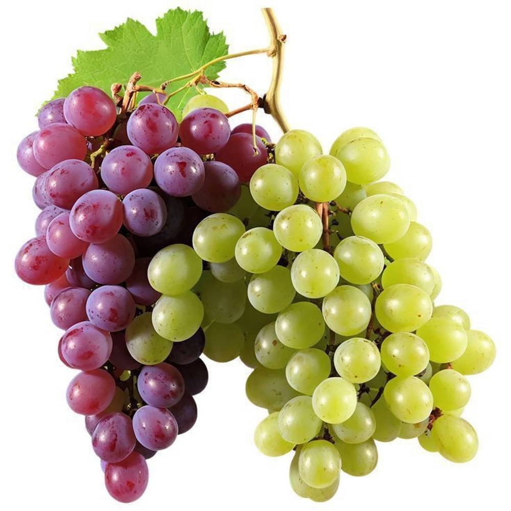 grape - Image 2