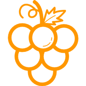 segment image
